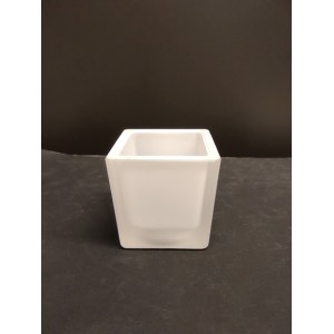 TULIPA 5068.014, Sayol