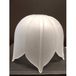 TULIPA CRISTAL 2177, Sayol