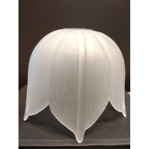 TULIPA CRISTAL 2177, Sayol