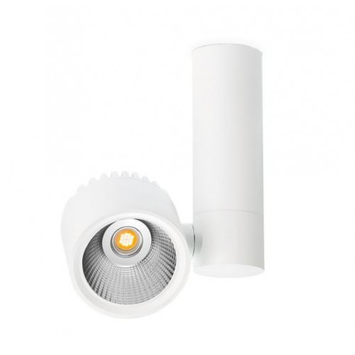 ZEN TUBE SURFACE, Arkoslight