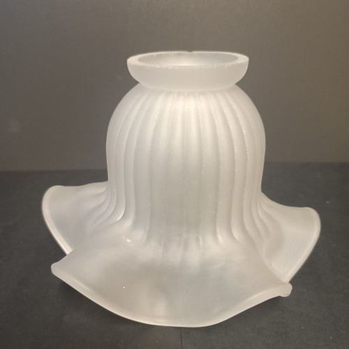 TULIPA RIZO MATE C/G